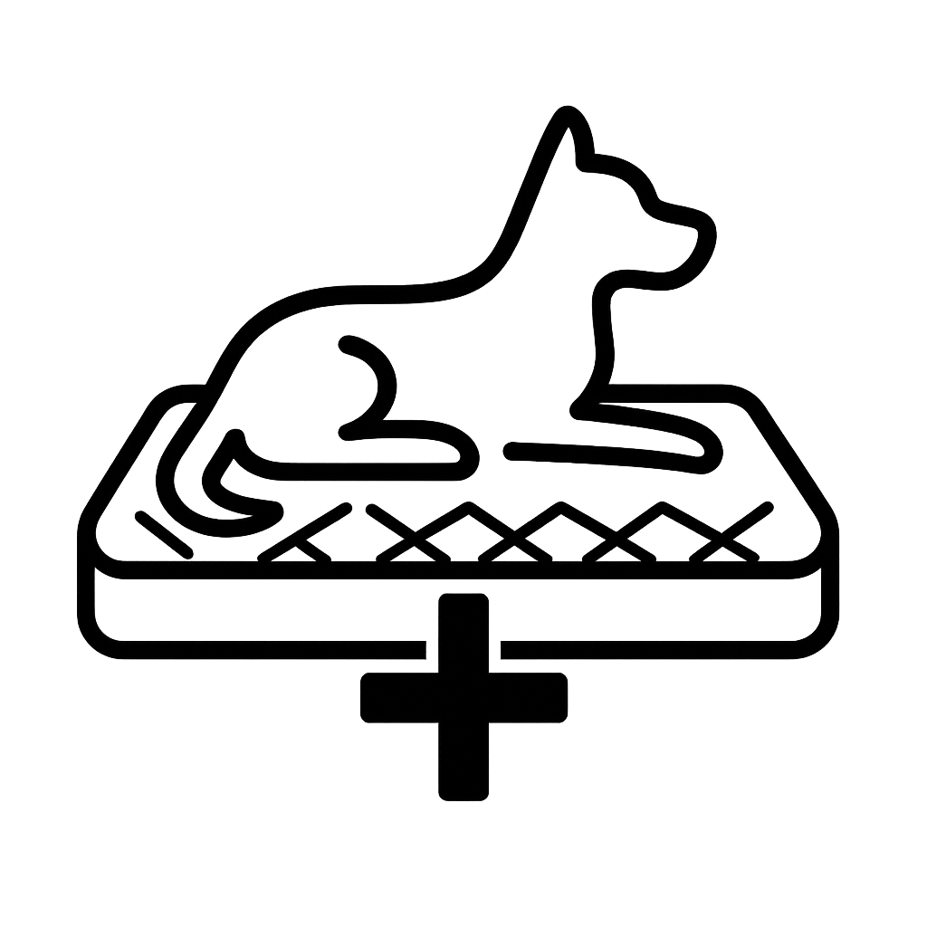 Ortopedická podpora